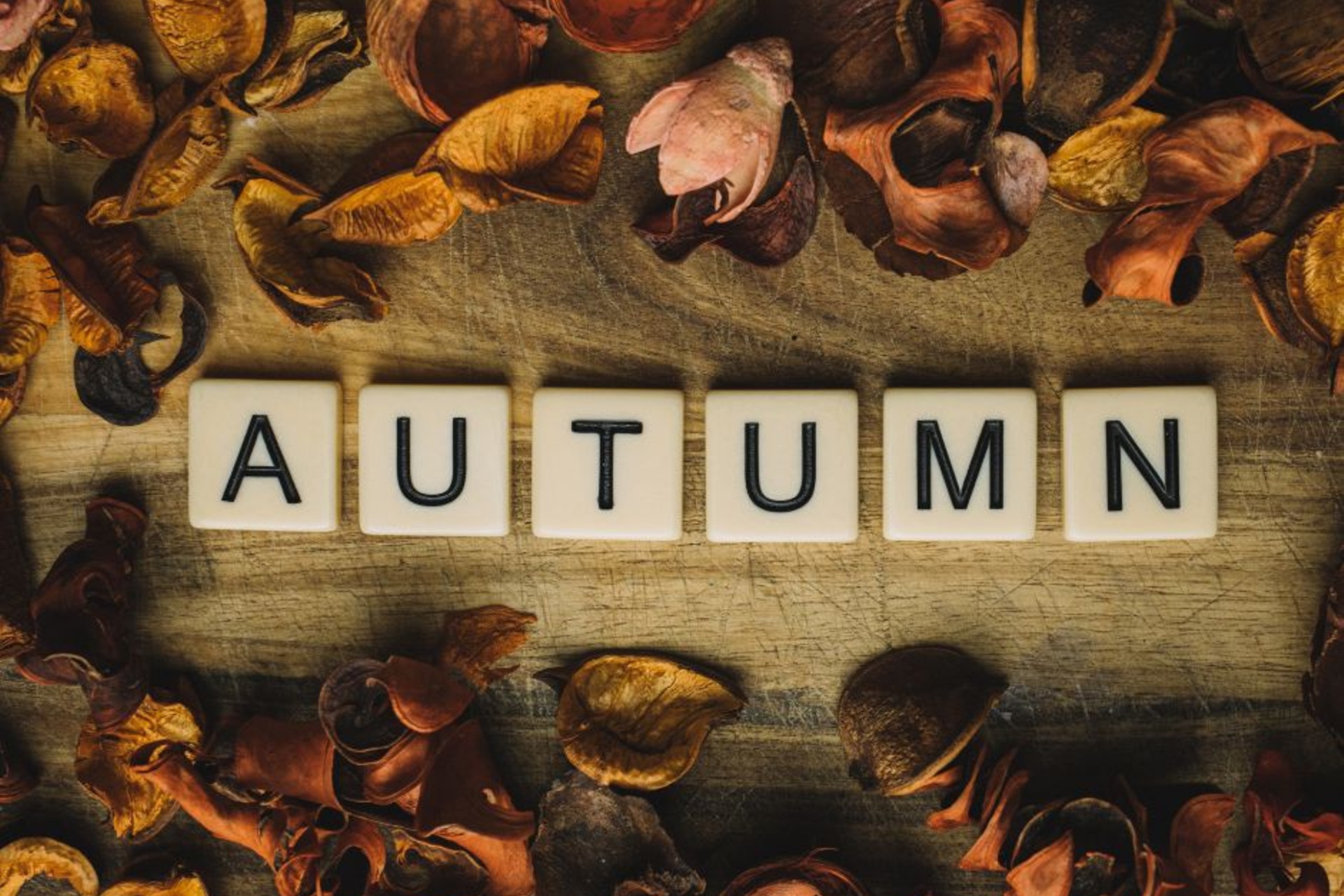 Autumn Programme of Pastoral Events